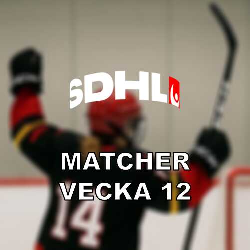 Sdhl vecka 12 semifinaler med brynas mot lulea och sde mot frolunda