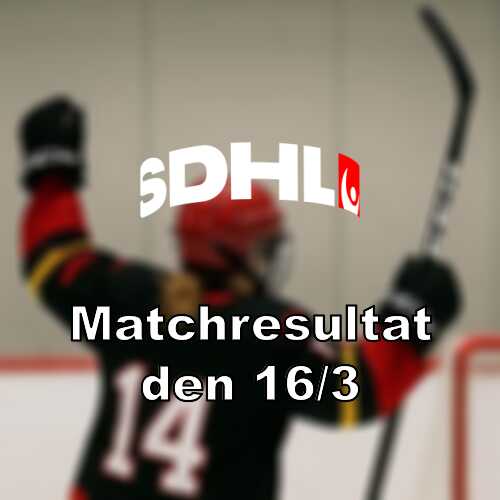 Segrar for brynas if och sde hf i sdhls semifinaler