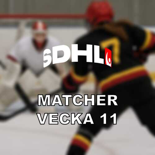 Vecka 11 i sdhl slutspelet kvartsfinal 5 med press pa special teams