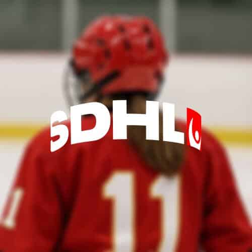 Anna meixner atervander fran pwhl till brynas if och sdhl