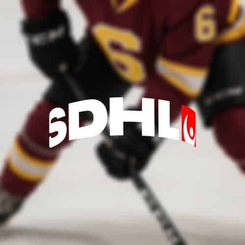 Jessica adolfsson bryter med sde atervander till linkoping hc