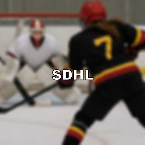 Sdhl linkoping hc riskerar tappa stjarntrion till pwhl