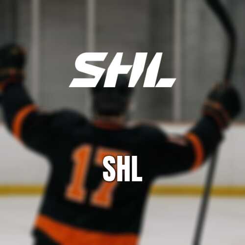 Genomgang av 26 nya shl importer arets fynd och fragetecken