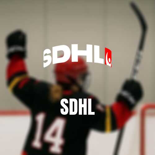 Homeofhockey tv lanseras streamar sdhl globalt
