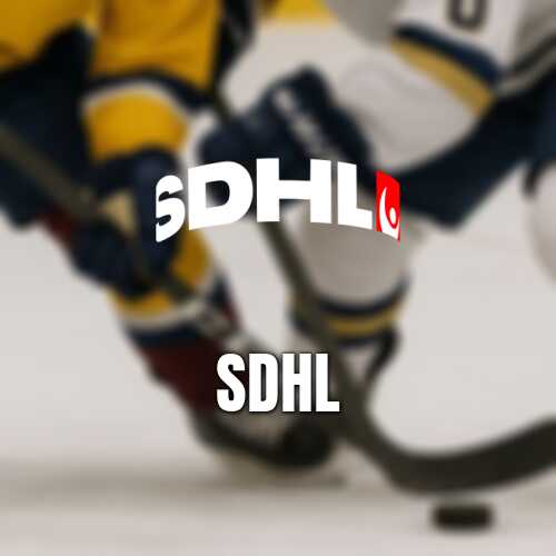 Lova blom uttagen i tre kronor tankar om sdhl inledningen