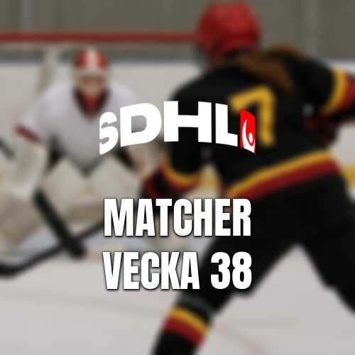 Vecka 38 i sdhl bjuder pa full omgang och ett hett norrlandsderby