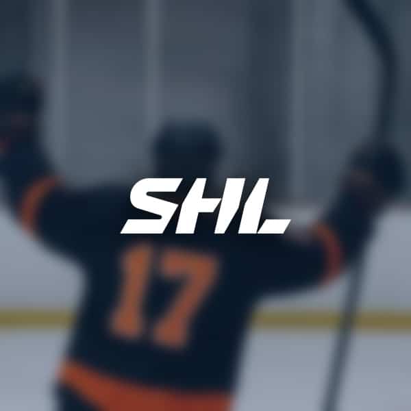 Lulea hf avvaktar med ny back trots skador och tranarkrav