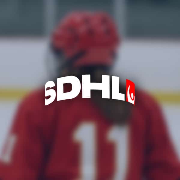 Manadens spelare i sdhl har ar kandidaterna for oktober
