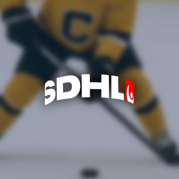 Sdhl linkopings ellie kaiser stangs av i tva matcher